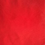 Red Leather Nappa E1564941002455